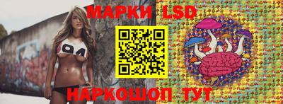 кокс Донской